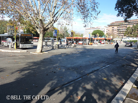 AS���[�}�ϐ���