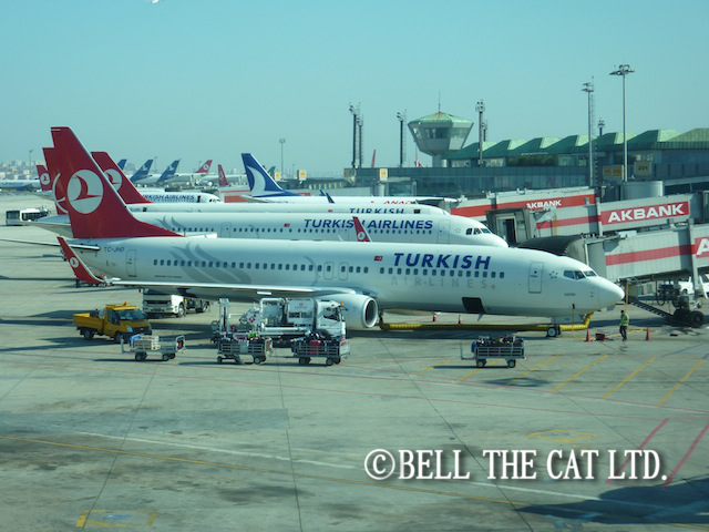 �u���W�����[���h�J�b�v�`�P�b�g