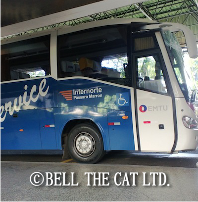 �u���W�����[���h�J�b�v�`�P�b�g