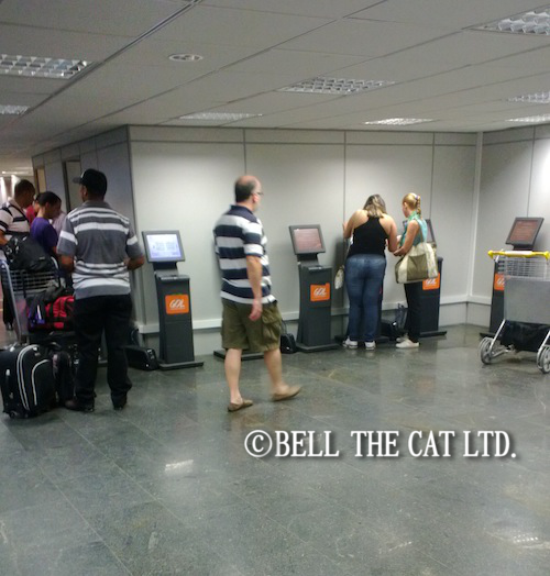 �u���W�����[���h�J�b�v�`�P�b�g