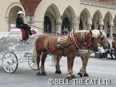 ���[��2012�@���B�I�茠�|�[�����h���