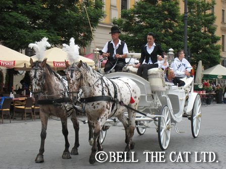 ���[��2012�@���B�I�茠�|�[�����h���