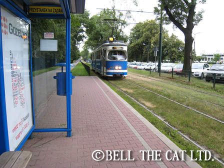 ���[��2012�@���B�I�茠�|�[�����h���