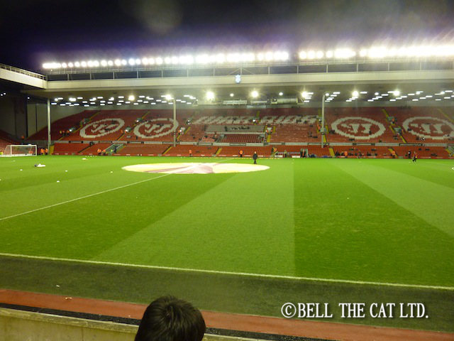 �A���t�B�[���h�ϐ�