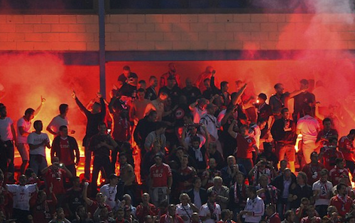 �x���t�B�J�T�|�[�^�[�͔�������������