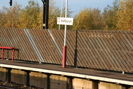 �}���`�F�X�^�[�V�e�B�[�@�V�e�B�[�I�u�}���`�F�X�^�[