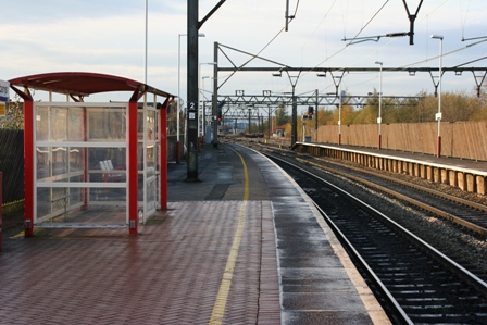 �}���`�F�X�^�[�V�e�B�[�@�V�e�B�[�I�u�}���`�F�X�^�[